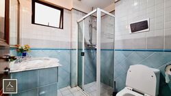Dover Parkview (D5), Condominium #517644501